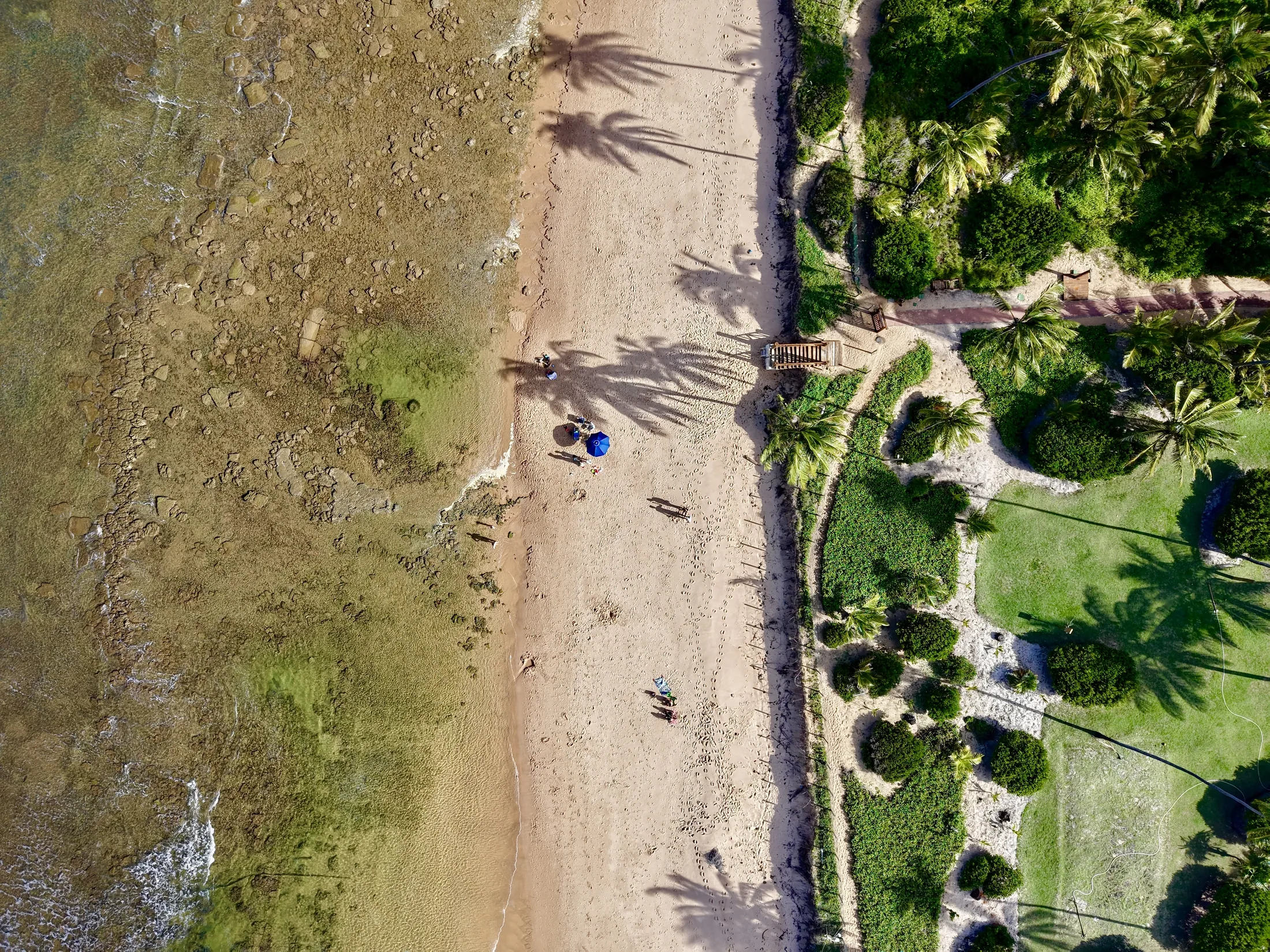Praia da Praia do Forte com o gramado do condomínio à beira da areia